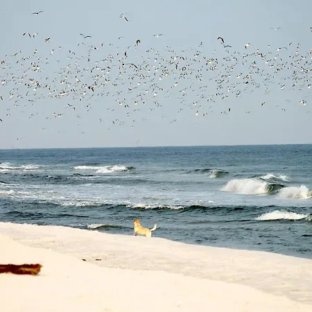 White Pearl 0.16 Apartment *