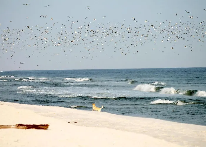 White Pearl 0.16 Lejlighed *